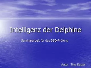 intelligenz der delphine
