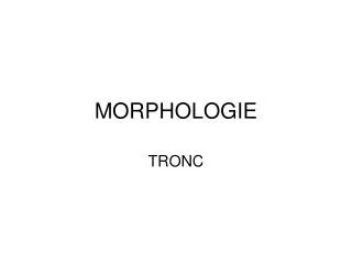 morphologie