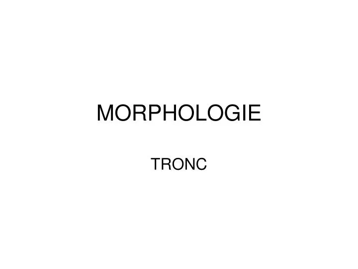 morphologie