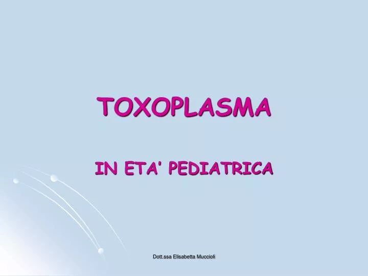 toxoplasma