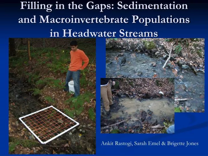filling in the gaps sedimentation and macroinvertebrate populations in headwater streams