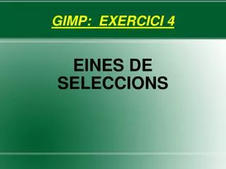 eines de seleccions