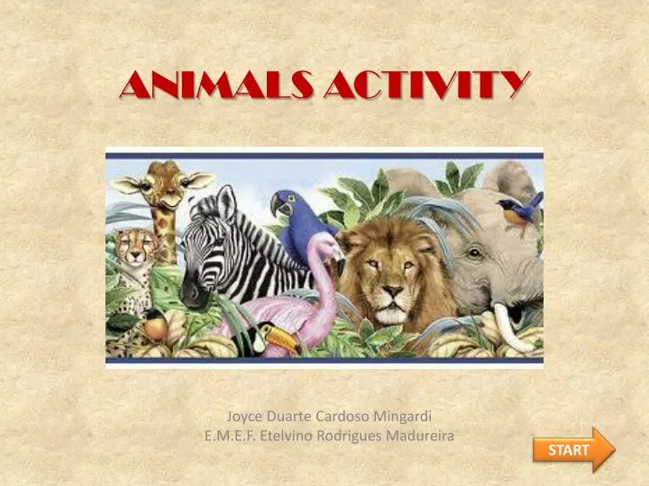 animals activity