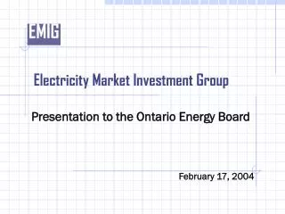 Electricity Market Investment Group