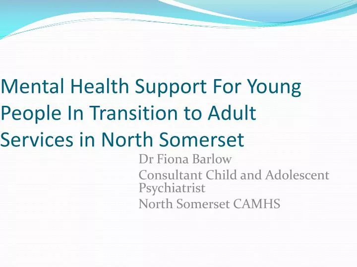mental health support for young people in transition to adult services in north somerset