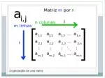 Uma matriz onde uma de suas dimensões é igual a 1 é geralmente chamada de vetor . - slide 1