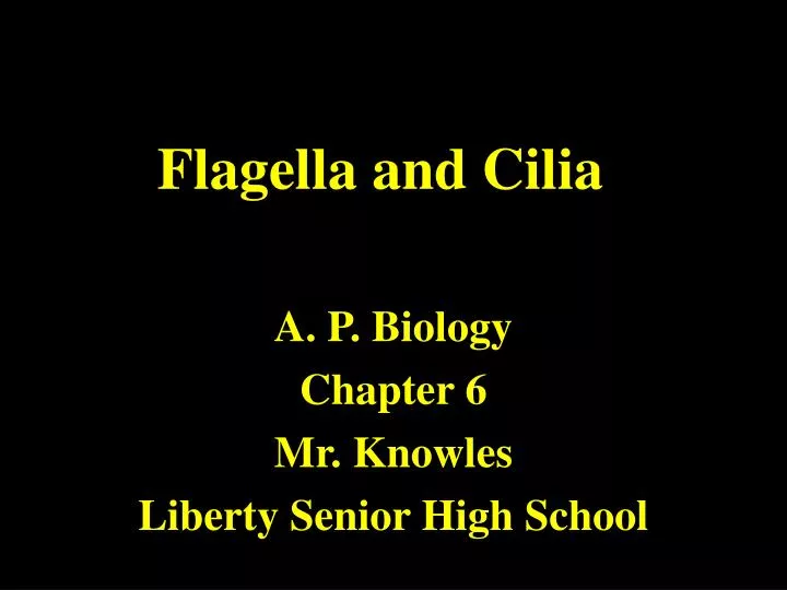 flagella and cilia