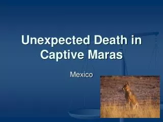 Unexpected Death in Captive Maras