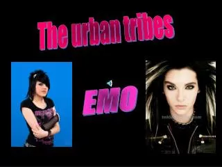 The urban tribes