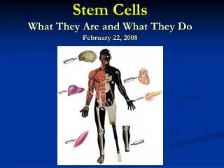 Stem Cells What They Are and What They Do February 22, 2008