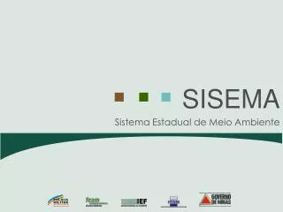 sistema estadual de meio ambiente