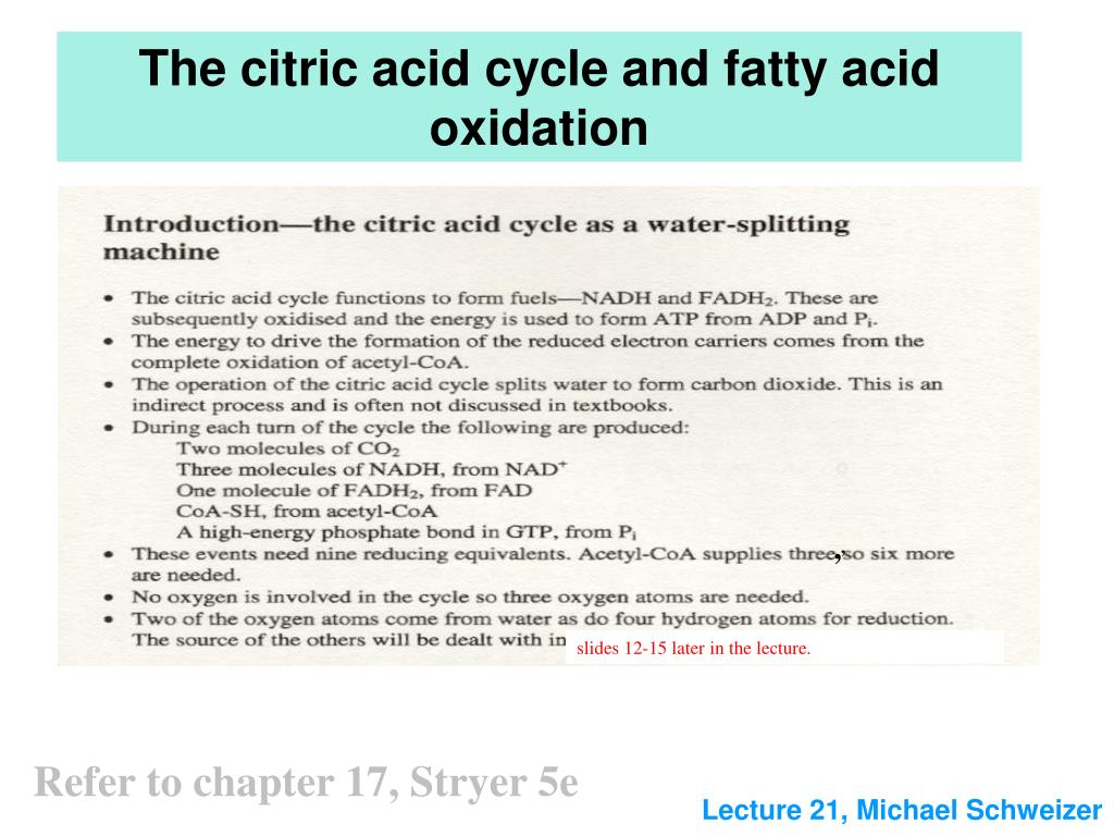 PPT - The citric acid cycle and fatty acid oxidation PowerPoint ...