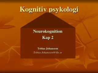 kognitiv psykologi