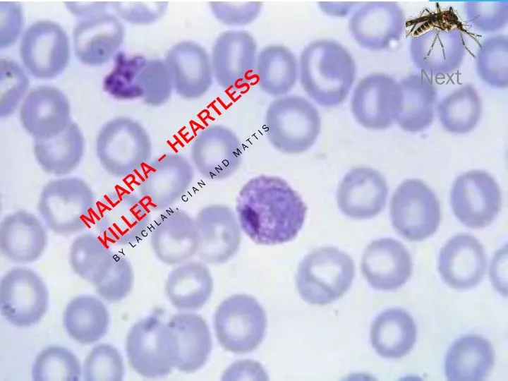 malaria heartless killer