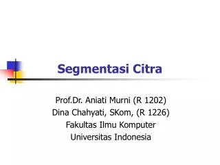 segmentasi citra