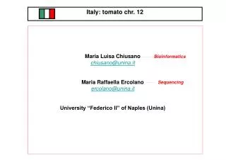 Italy: tomato chr. 12 Country Representative: Dr. Giovanni Giuliano