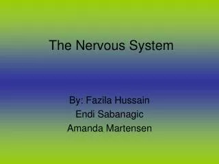 The Nervous System