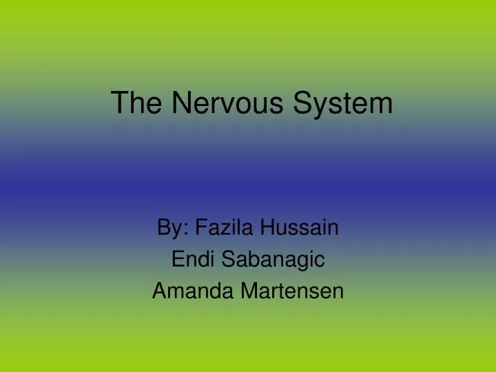 the nervous system