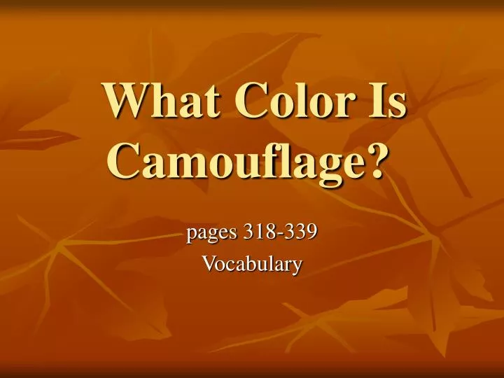 what color is camouflage