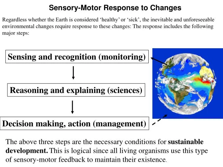 sensory motor response to changes