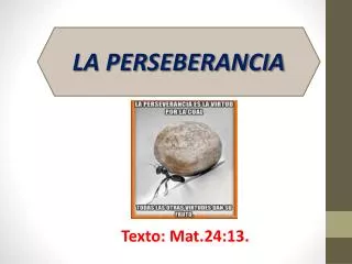 texto mat 24 13