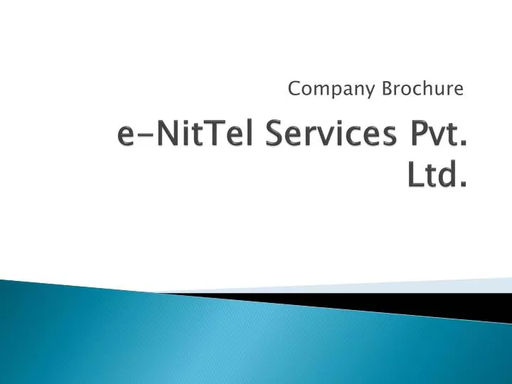 e nittel services pvt ltd