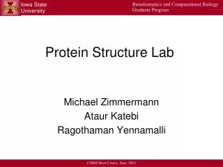Protein Structure Lab