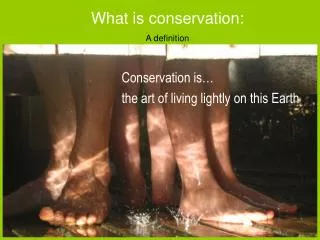 Conservation is… the art of living lightly on this Earth