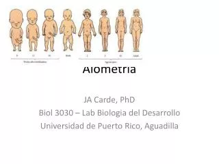 alometr a