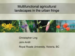 Multifunctional agricultural landscapes in the urban fringe