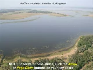 Lake Toho - northeast shoreline - looking west