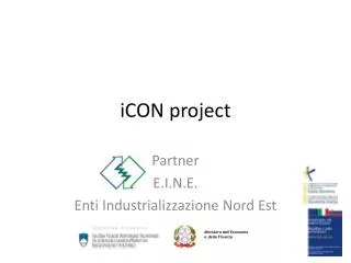 icon project