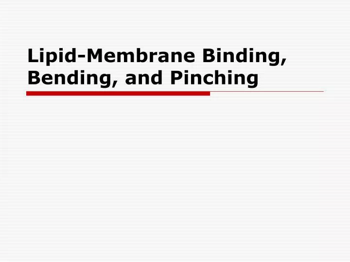 lipid membrane binding bending and pinching