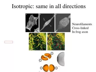 Isotropic: same in all directions