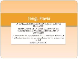 terigi flavia