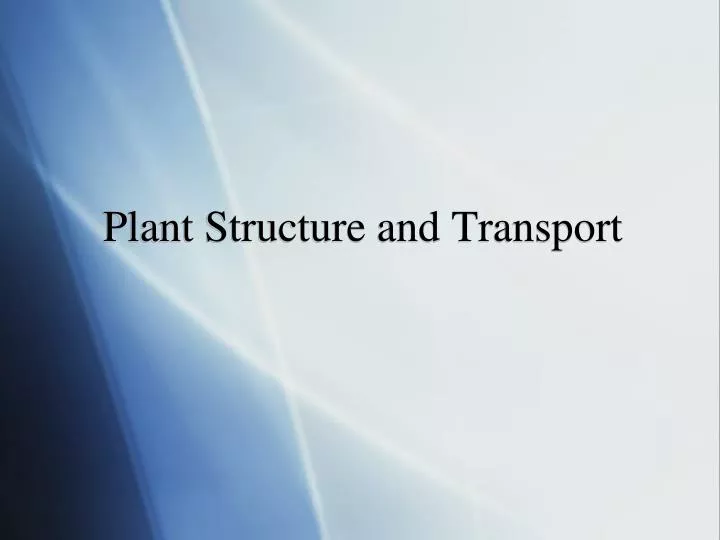 plant structure and transport