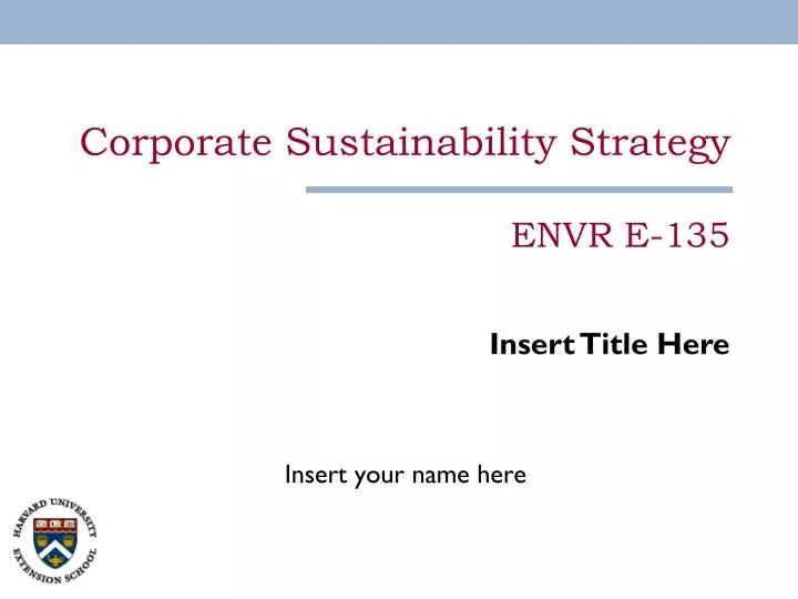 corporate sustainability strategy envr e 135