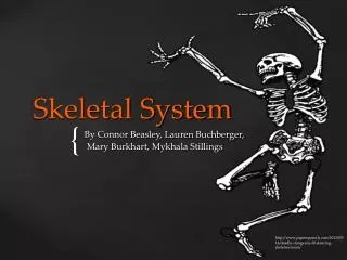 skeletal system