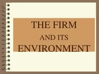 THE FIRM AND ITS ENVIRONMENT
