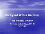 Backyard Water Gardens