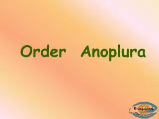 Order Anoplura