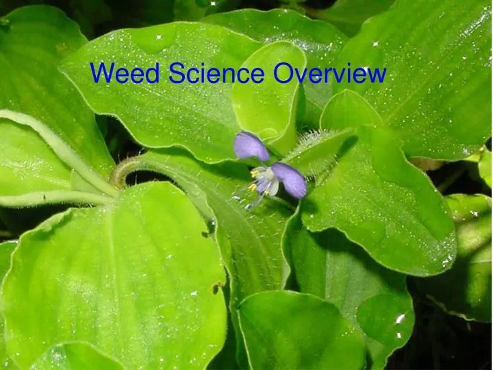 weed science overview