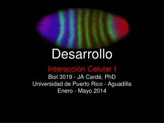 biolog a del desarrollo