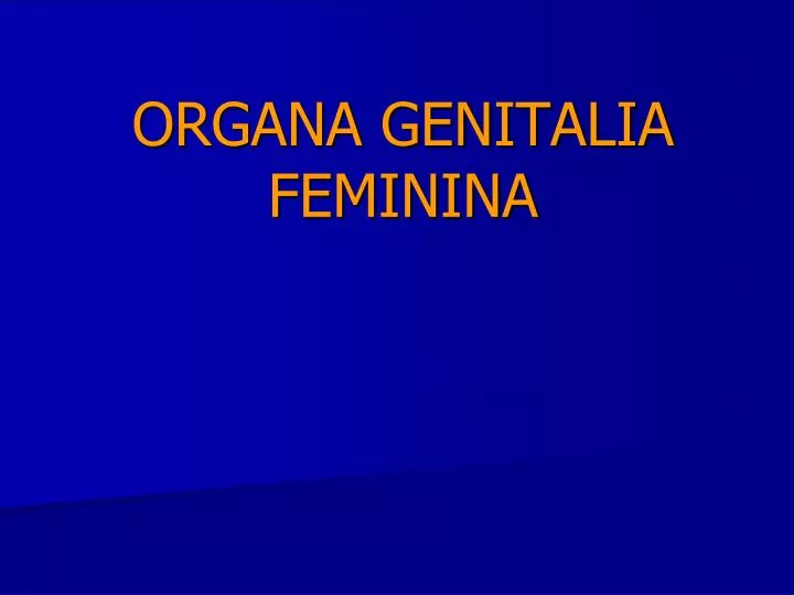 organa genitalia feminina