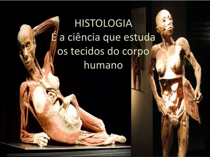 histologia a ci ncia que estuda os tecidos do corpo humano