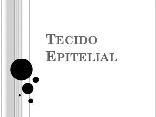 tecido epitelial