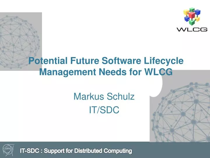 potential future software lifecycle management needs for wlcg