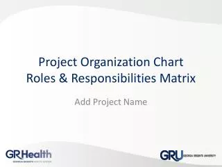 Project Organization Chart Roles &amp; Responsibilities Matrix