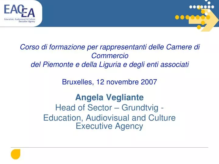 angela vegliante head of sector grundtvig education audiovisual and culture executive agency