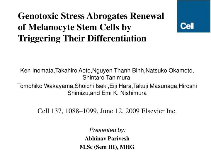 genotoxic stress abrogates renewal of melanocyte stem cells by triggering their differentiation
